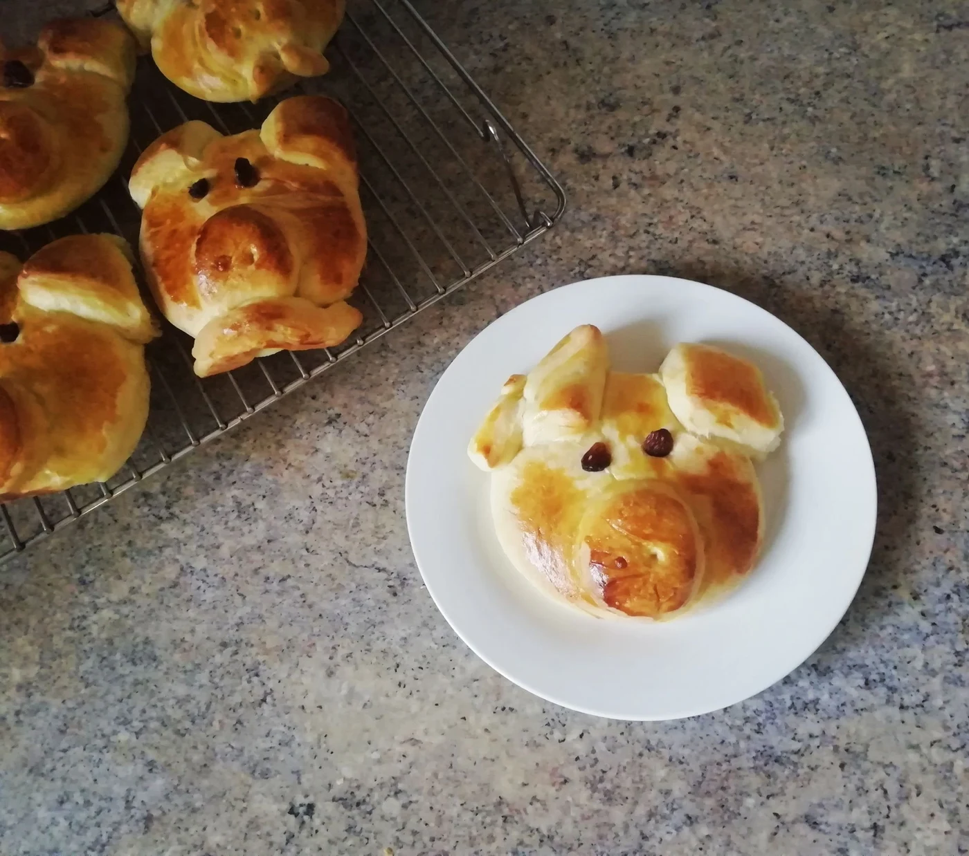 Homemade pig-shaped buns cooling on a rack and served on a white plate.